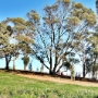 Settler's Run Estate Cranbourne